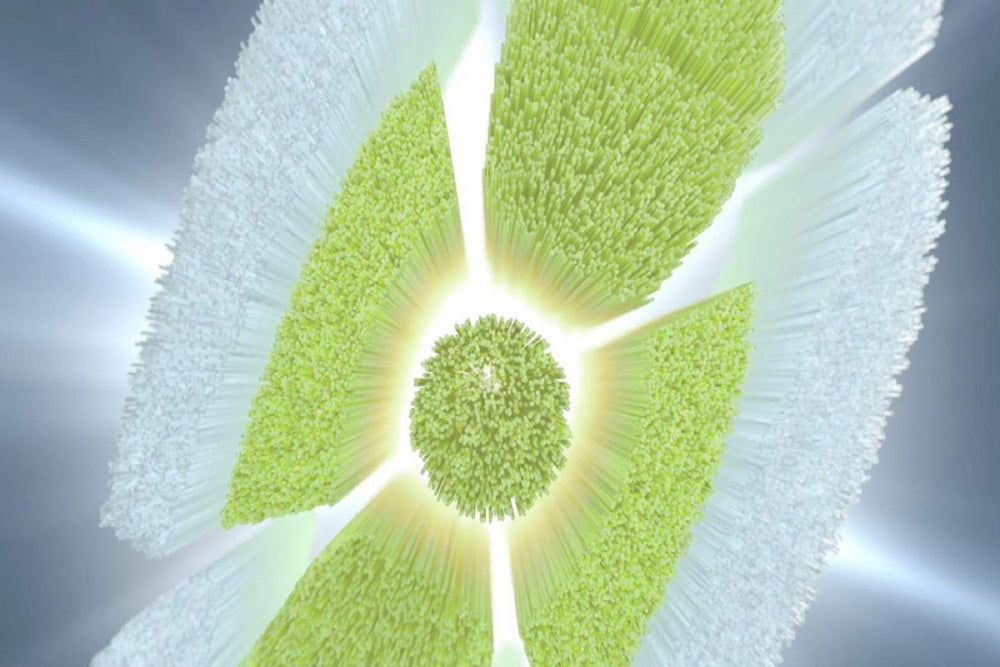 Philips Sonicare W DiamondClean central stain-removal pad close-up shows enhanced contact.
