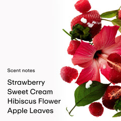 PHLUR Berry Cream label on bottle conveys a modern, versatile scent.