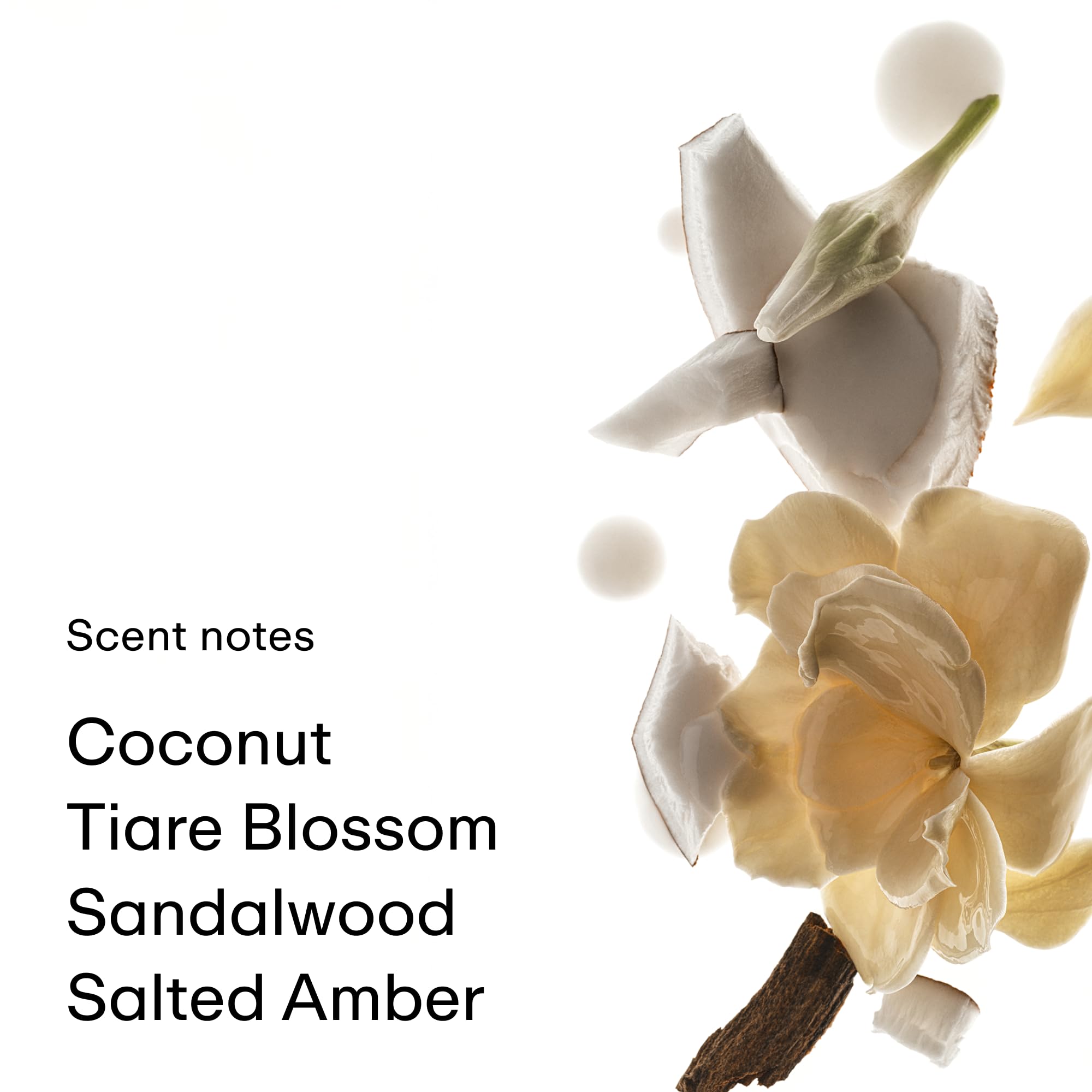 PHLUR Coconut Skin Body Mist label closeup highlighting soft, layered fragrance notes.