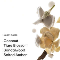 PHLUR Coconut Skin Body Mist label closeup highlighting soft, layered fragrance notes.