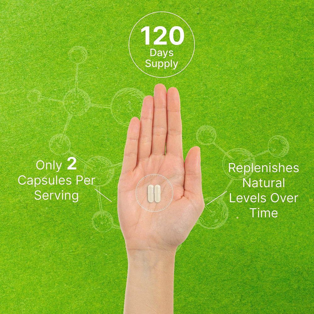 Phosphatidylserine sunflower lecithin serving graphics: 400 mg per capsule clearly indicated.