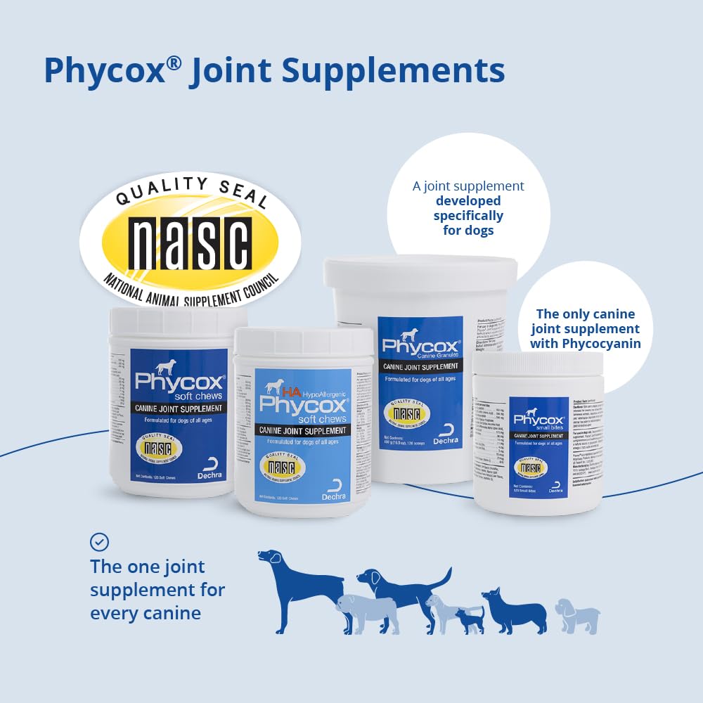 PhyCox bite-size treats: dog-friendly size that makes daily care effortless.