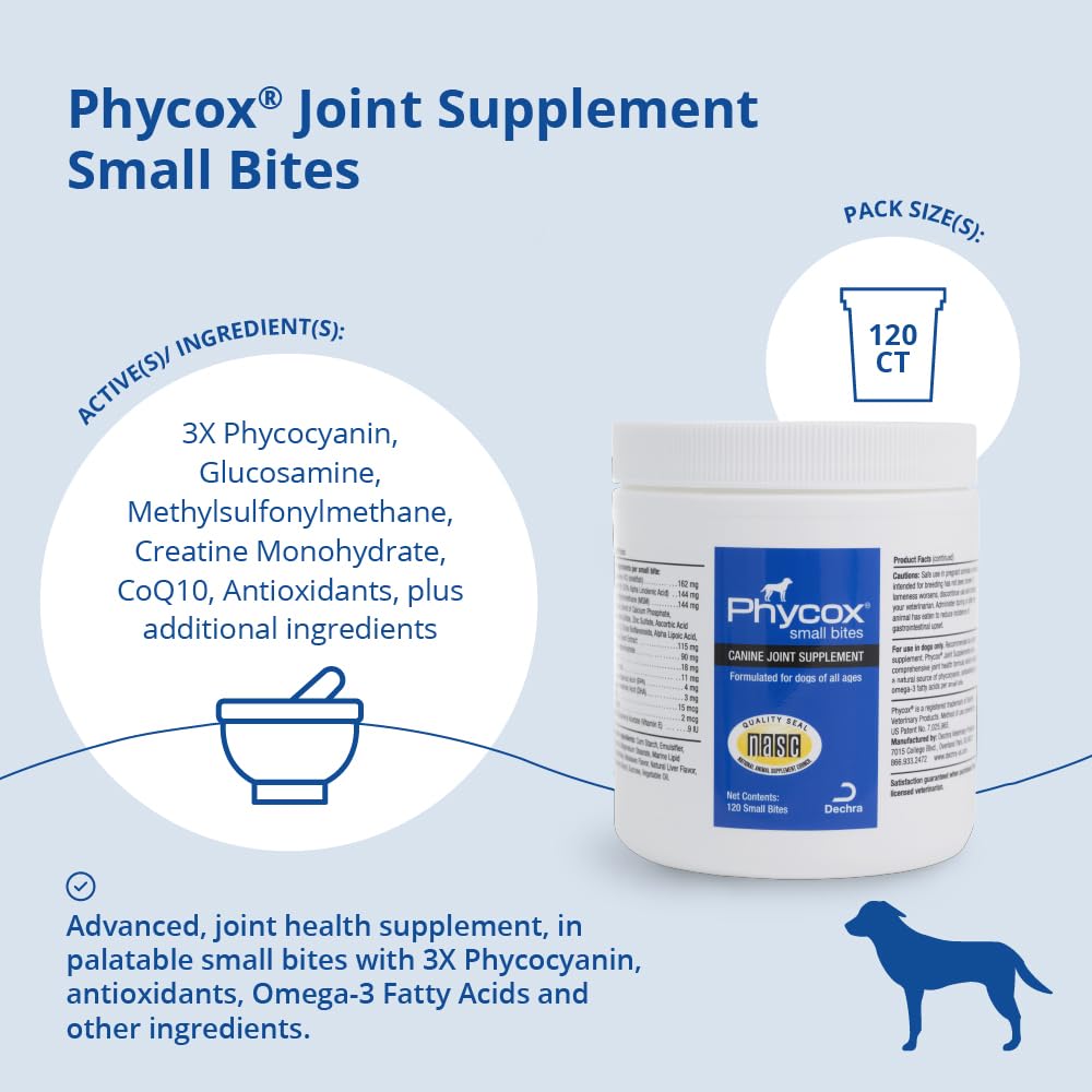 PhyCox dog chewing soft chews: simple daily ritual that fits walks or playtime.