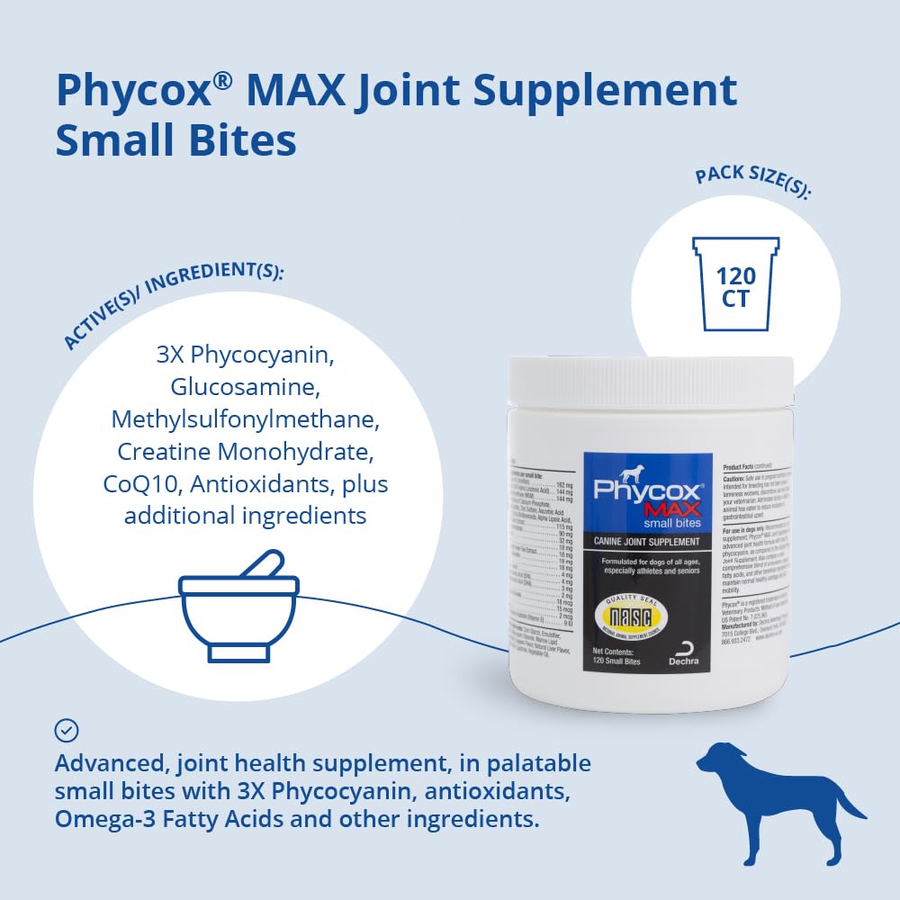 Happy dog with Phycox MAX bites illustrating tasty daily joint support.