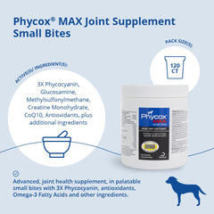 Happy dog with Phycox MAX bites illustrating tasty daily joint support.
