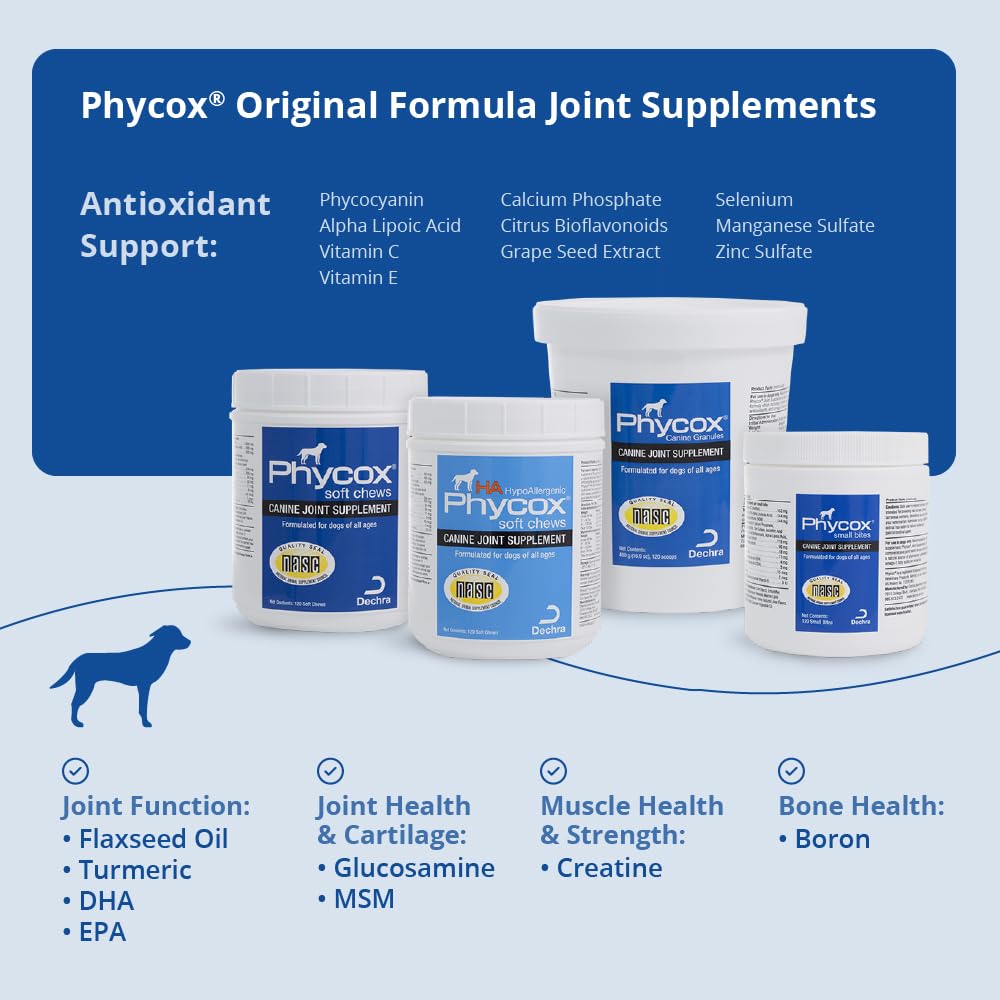 PhyCox packaging closeup: compact bottle designed for easy dosing at home.
