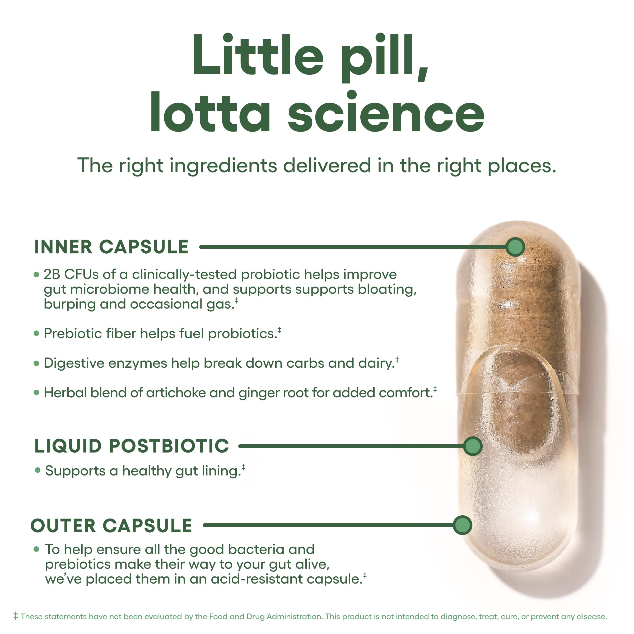 Physician's CHOICE herbal blend for gentle daily digestion after meals.