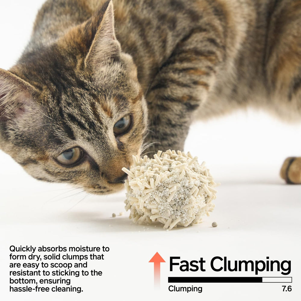 Pidan Mix Cat Litter 5x-absorption supports longer litter intervals.