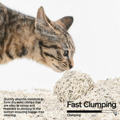 Pidan Tofu Cat Litter anti-tracking with large granules