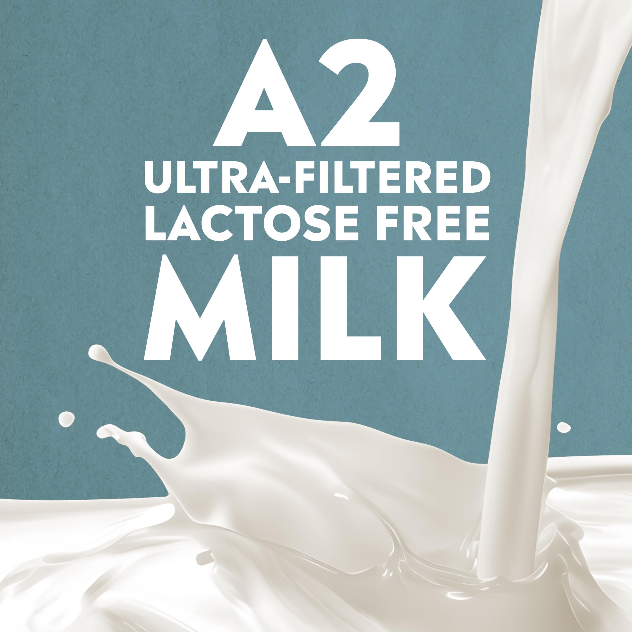 Lactose-free label on Pioneer Pastures vanilla A2 milkshake bottle