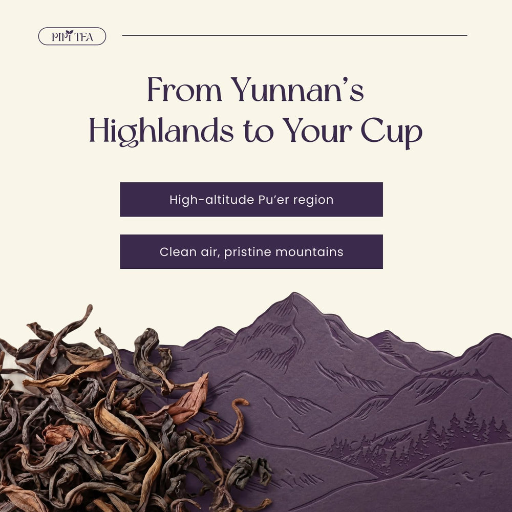 Calm-focused ritual with PiPi Tea supports a relaxed mood.