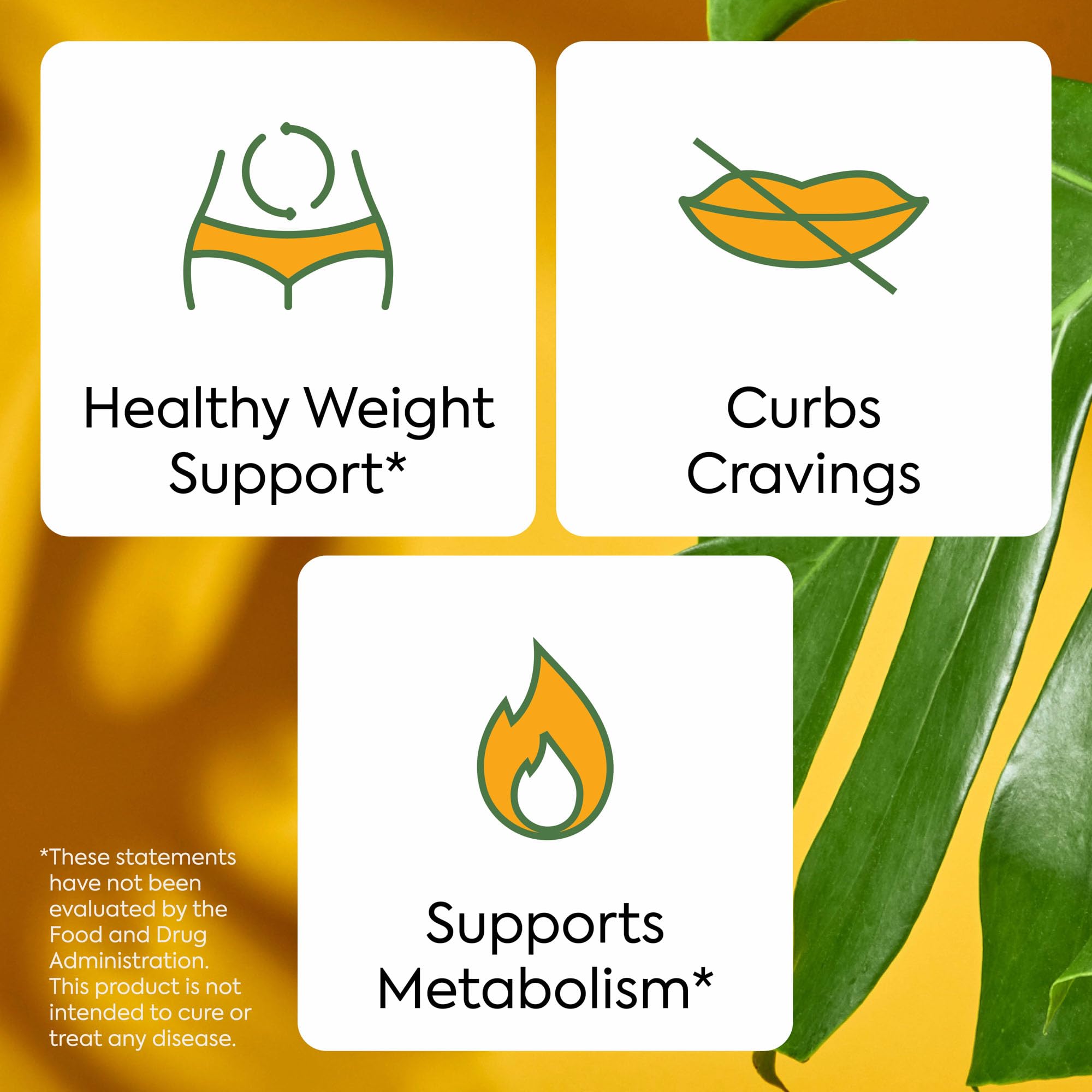 Apple Cider Vinegar note in WonderBurn for tangy, clean profile