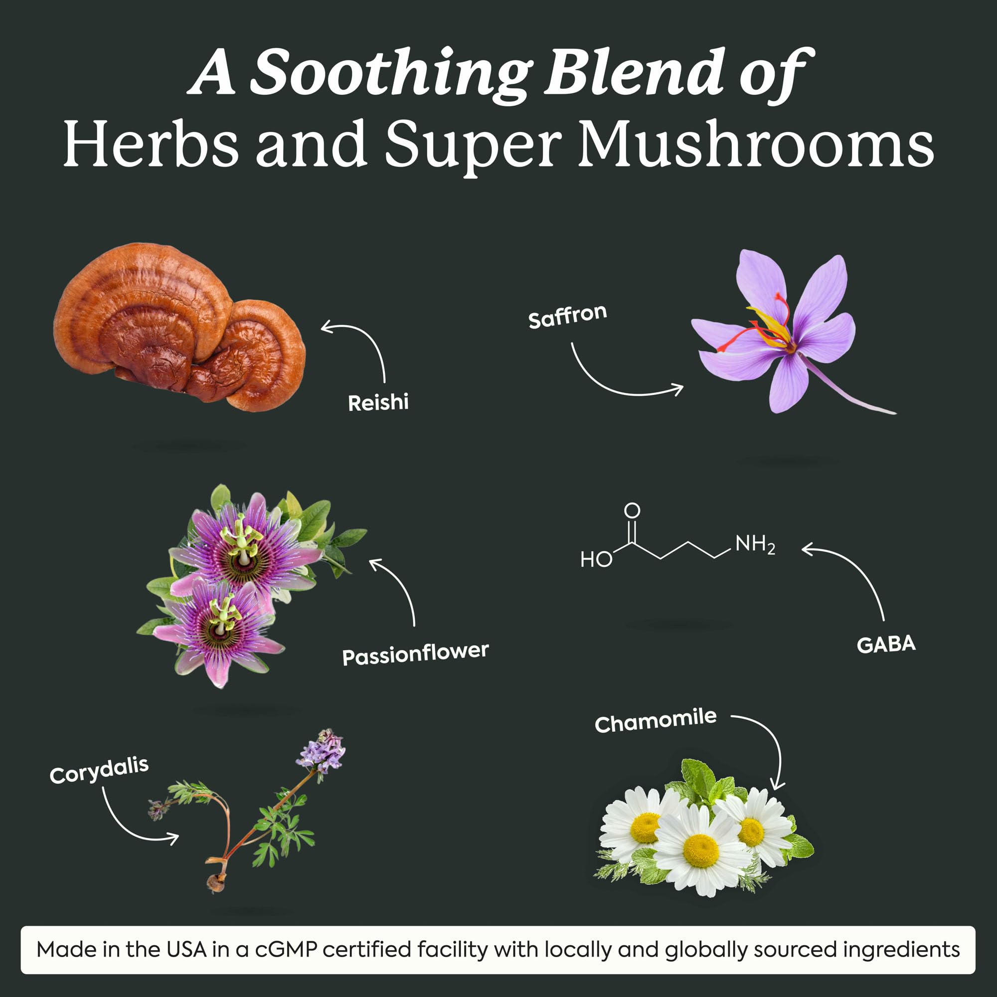 Plant People WonderSleep label emphasizes clean, natural ingredients for bedtime
