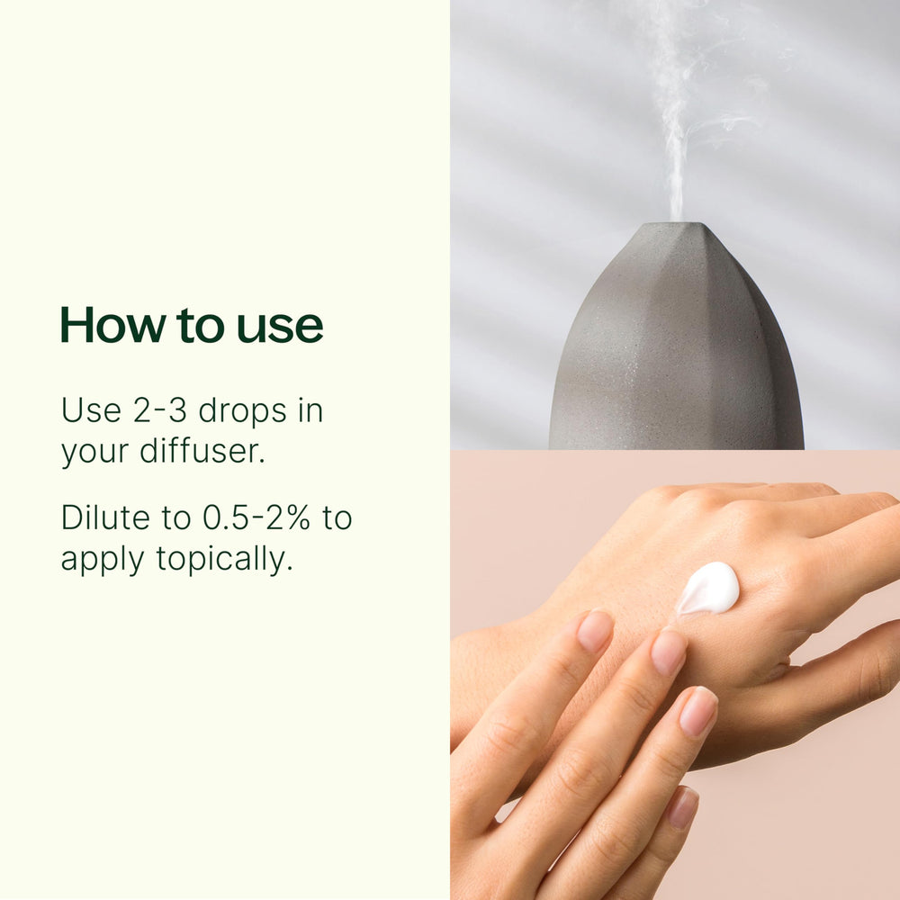 Plant Therapy Germ Fighter bottle alongside carrier oil for massage application.
