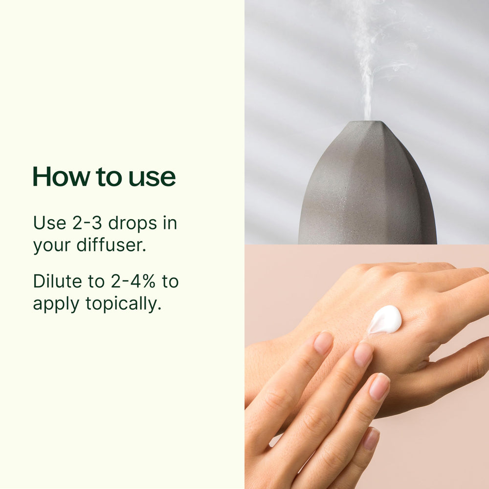 Plant Therapy rosemary oil in diffuser creates uplifting aroma for a refreshed room.