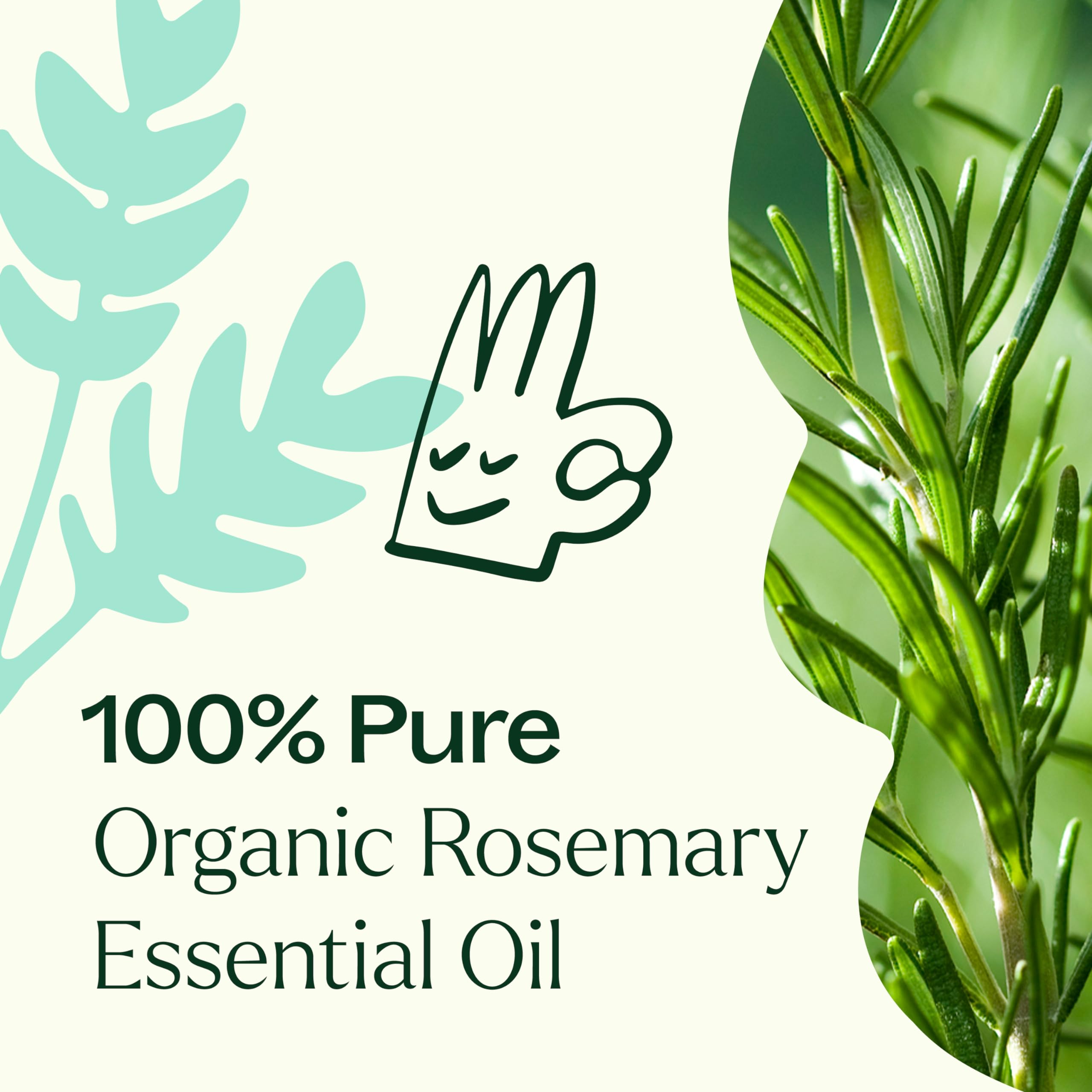 Plant Therapy rosemary oil bottle label confirms organic quality and purity.