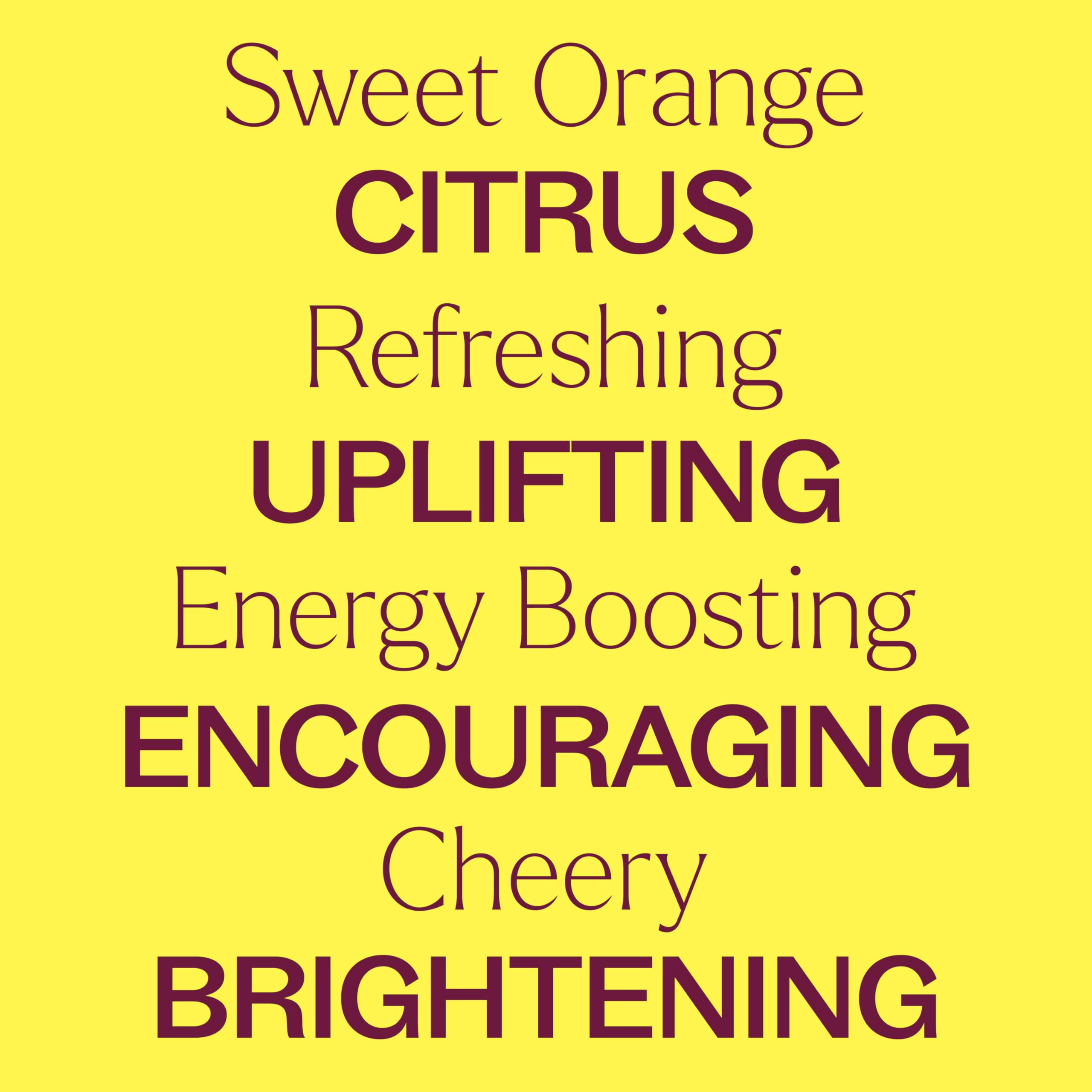 Plant Therapy Sweet Orange diffuser emits a bright citrus aroma for a lively space.