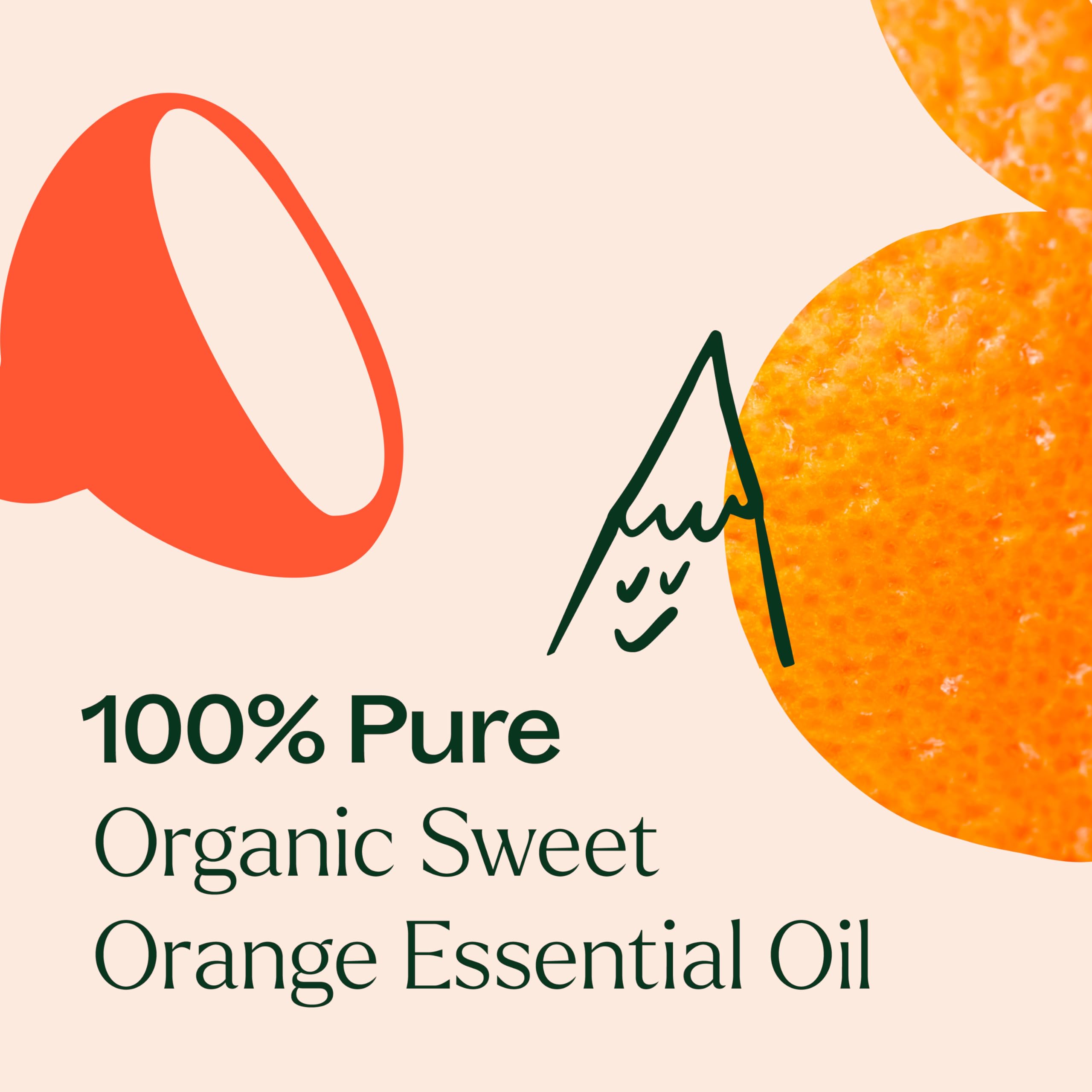 Plant Therapy Sweet Orange orange peel close-up captures fresh citrus notes.