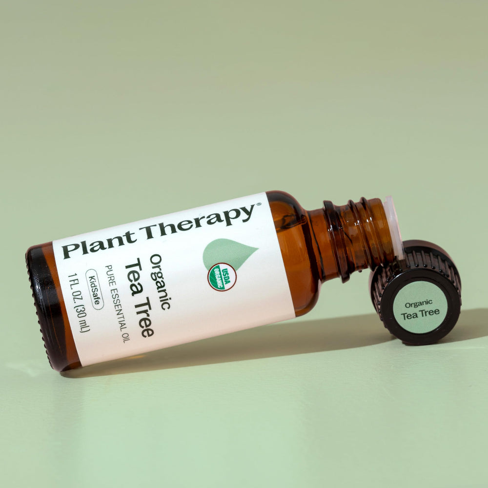 Undiluted Tea Tree Oil bottle ready for dilution and blending