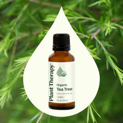 Plant Therapy Tea Tree Oil bottle with USDA Organic certification label
