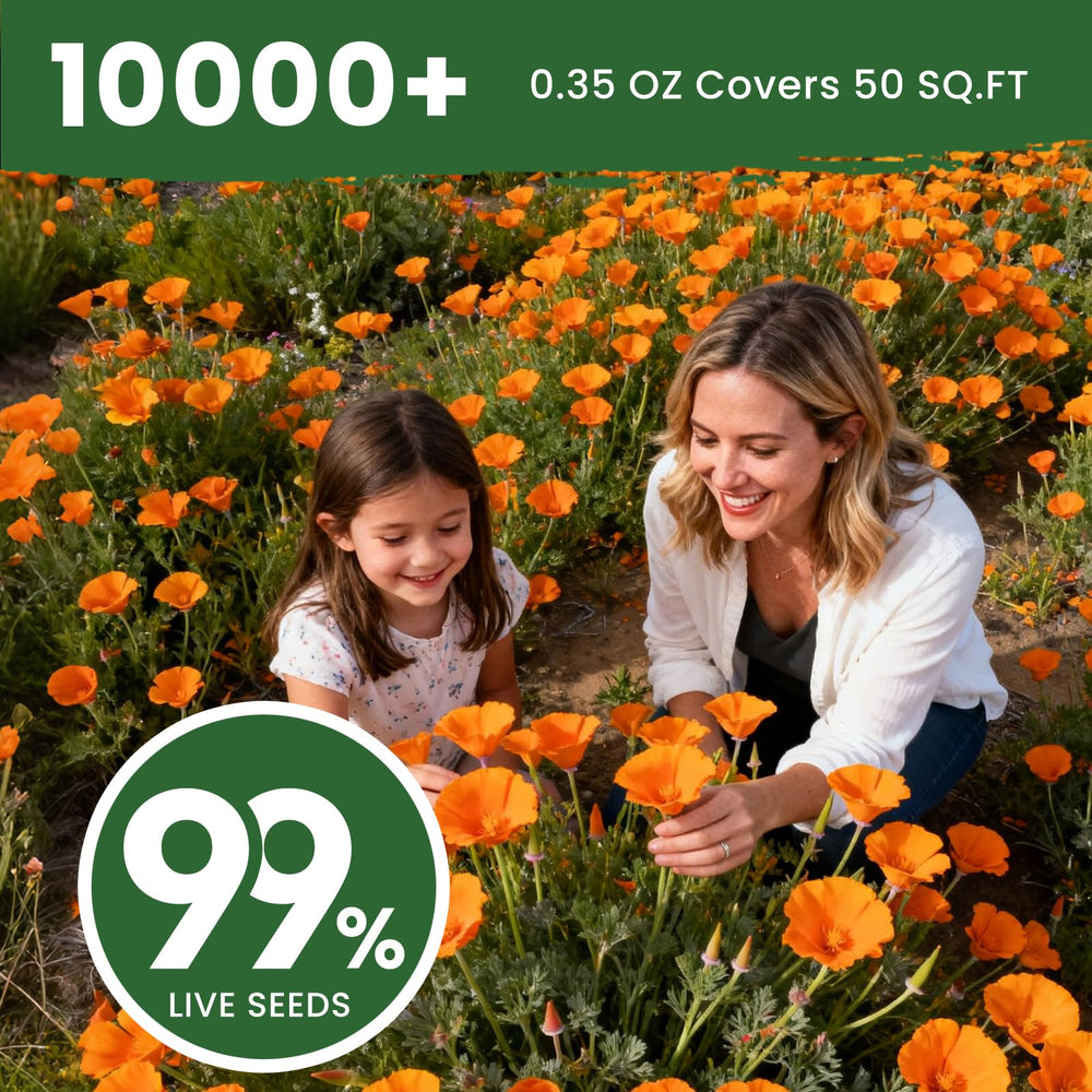PlantMew poppies attract bees and butterflies, boosting garden pollinators.