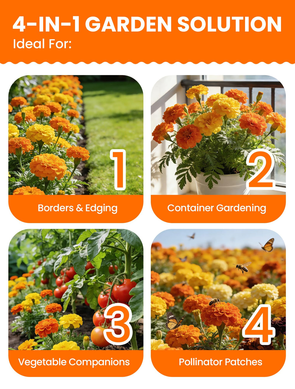 PlantMew bushy marigolds provide quick color in beds.