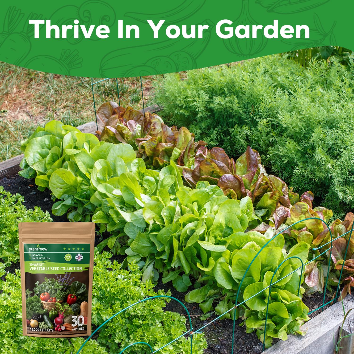 PLANTMEW Cucumber seeds for cool, crunchy garden picks
