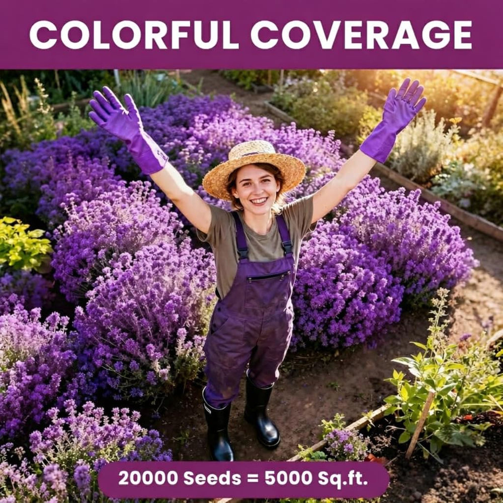 PlantMew dense thyme mat rapidly suppressing weeds and filling spaces.