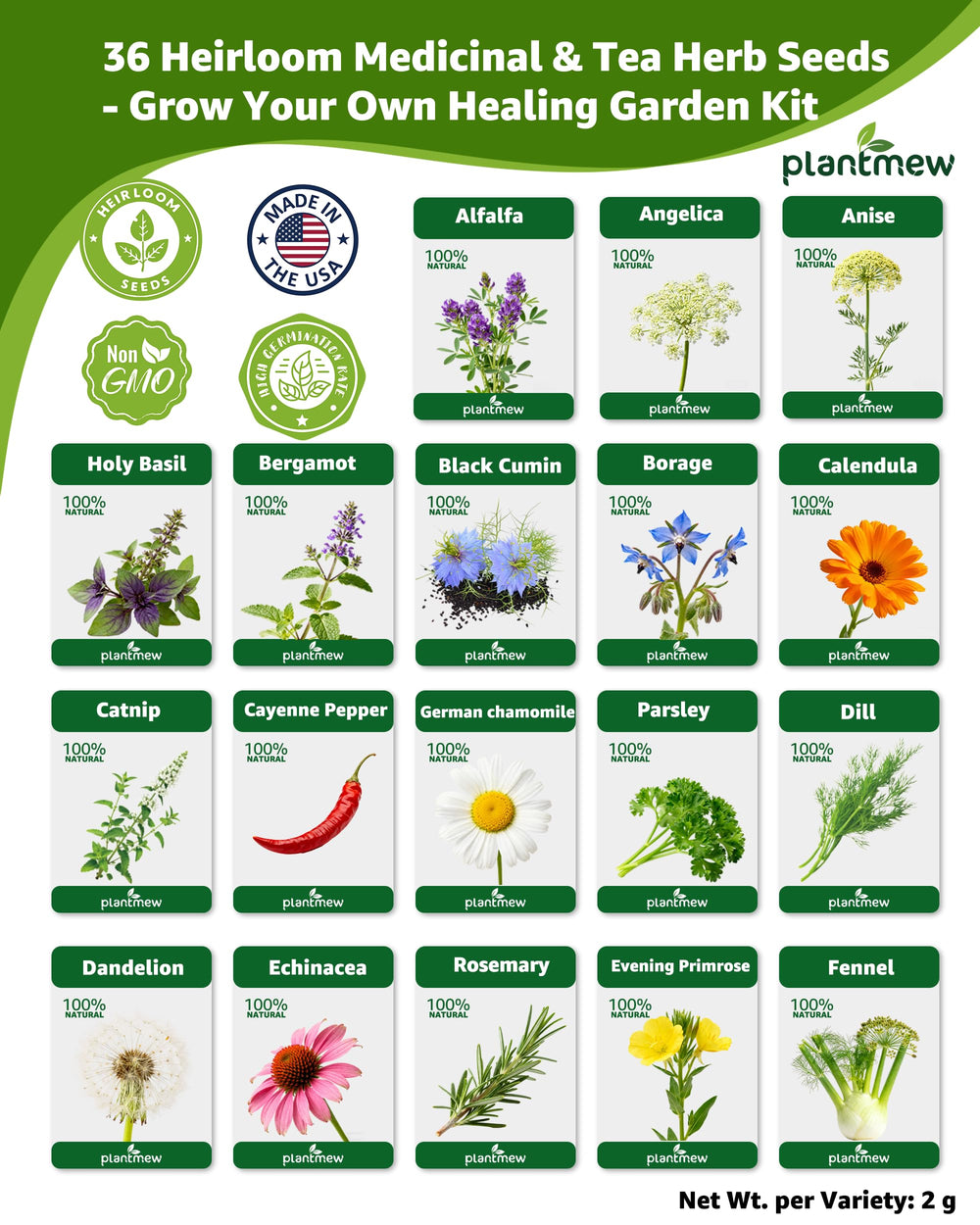 PLANTMEW echinacea seeds for vibrant garden blends and teas.