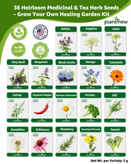 PLANTMEW echinacea seeds for vibrant garden blends and teas.