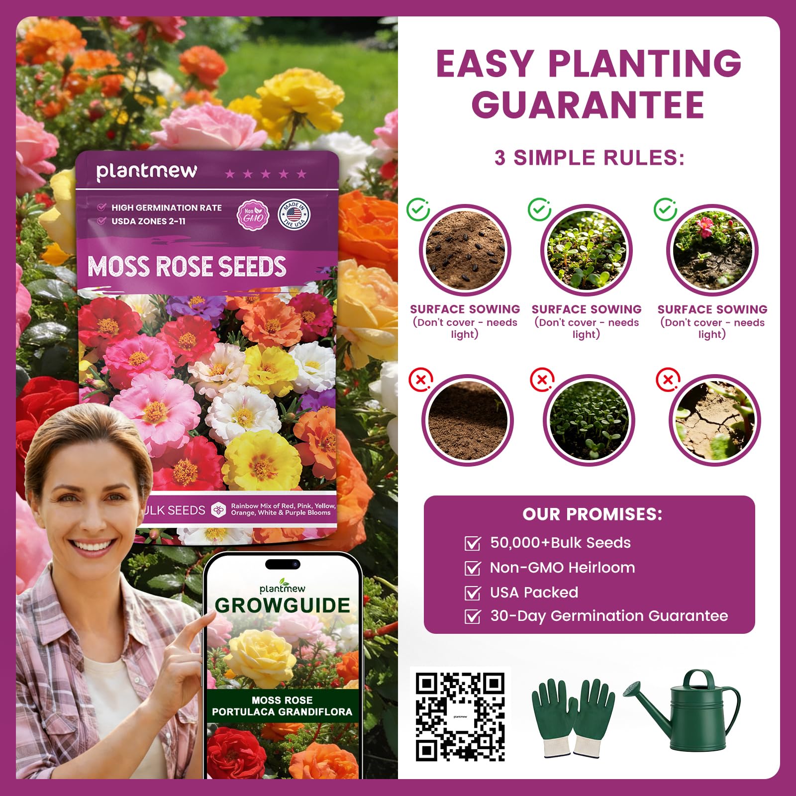 PLANTMEW moss rose forms dense ground cover and fill gaps