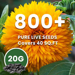 PLANTMEW open-pollinated, non-GMO seeds for easy growing.