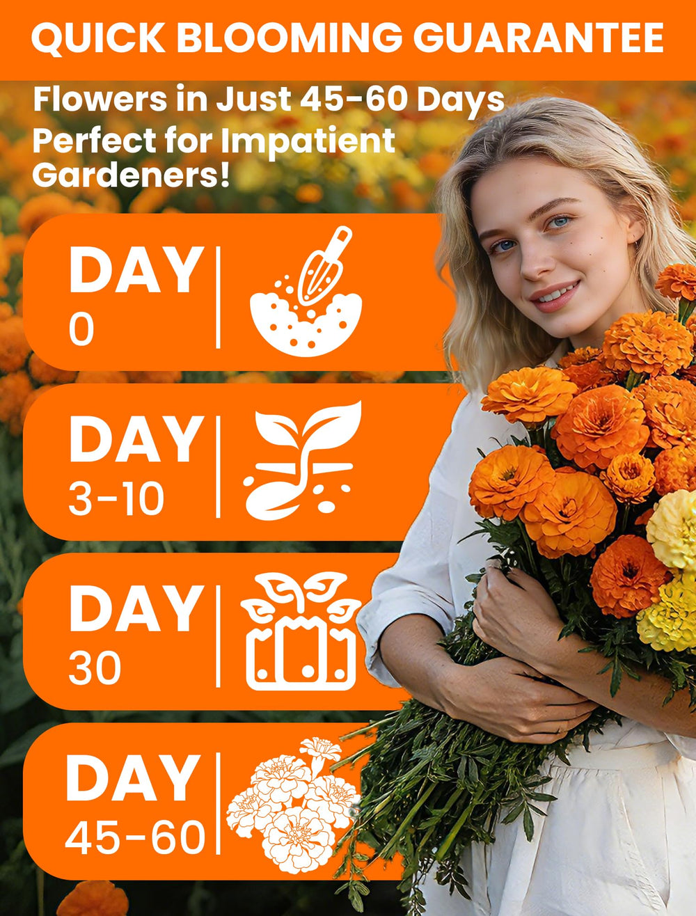 PlantMew marigolds attract bees and butterflies for pollination.