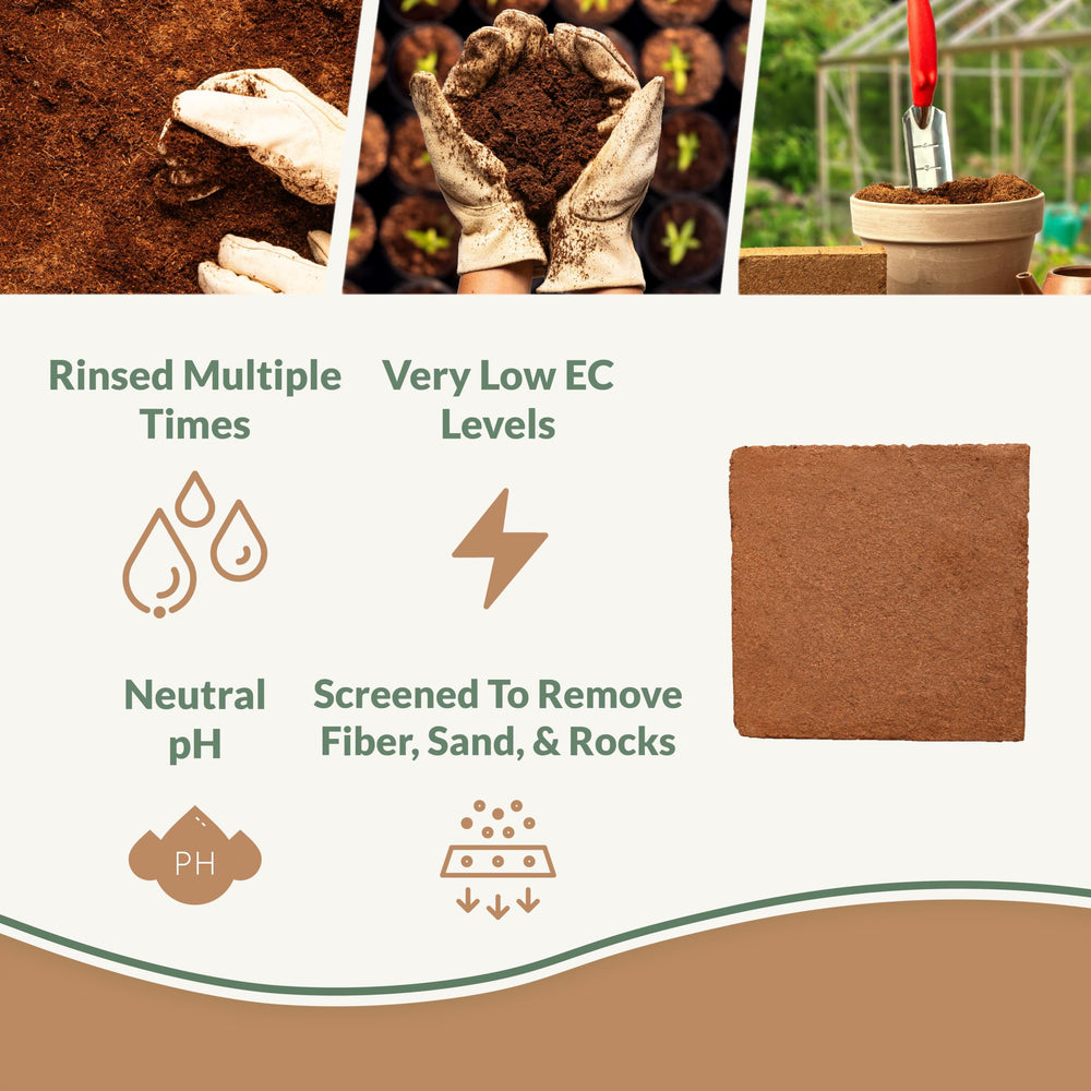 Plantonix Coco Bliss brick expands in water to improve moisture retention.