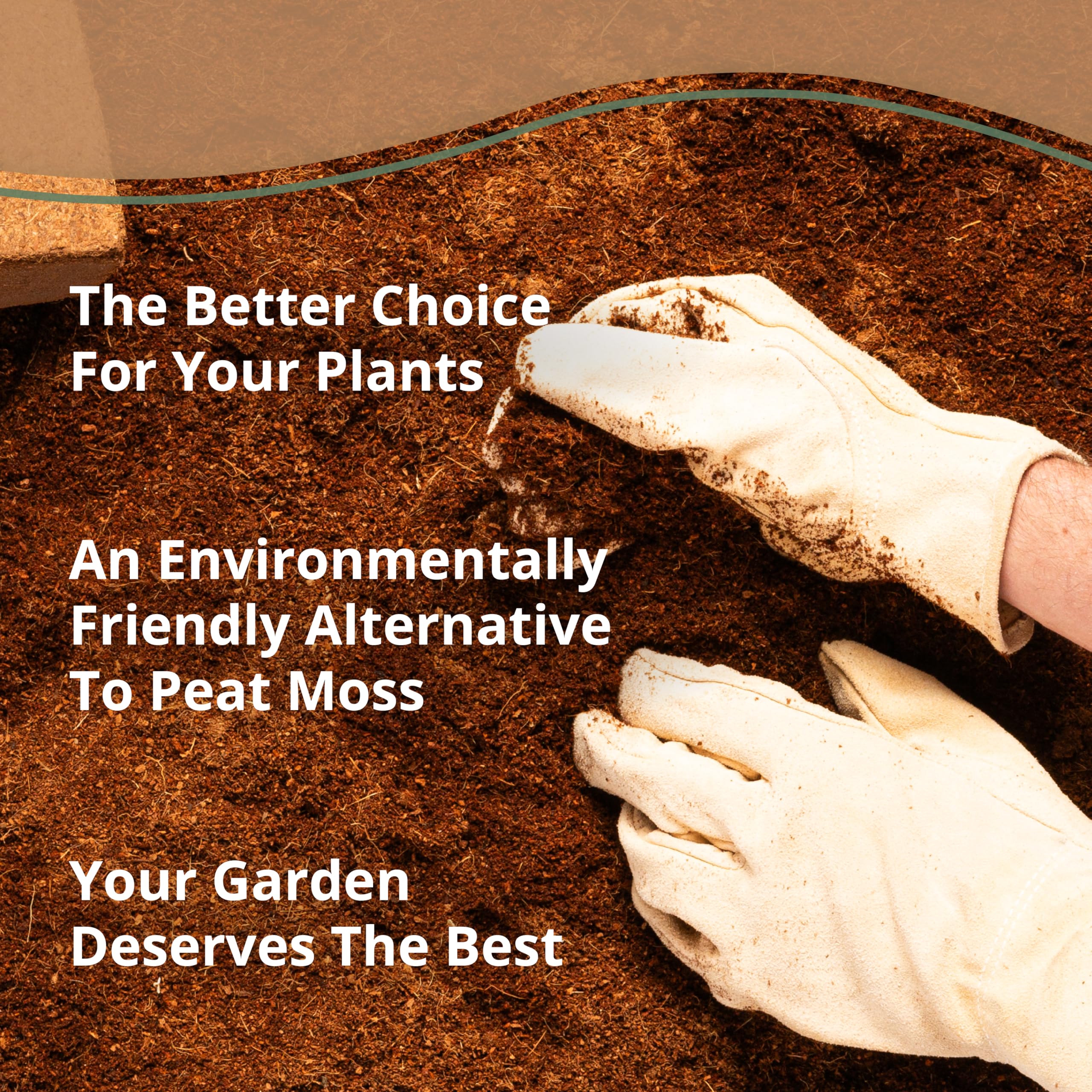 Plantonix Coco Bliss pre-rinsed coir ensures clean, ready-to-use planting medium.