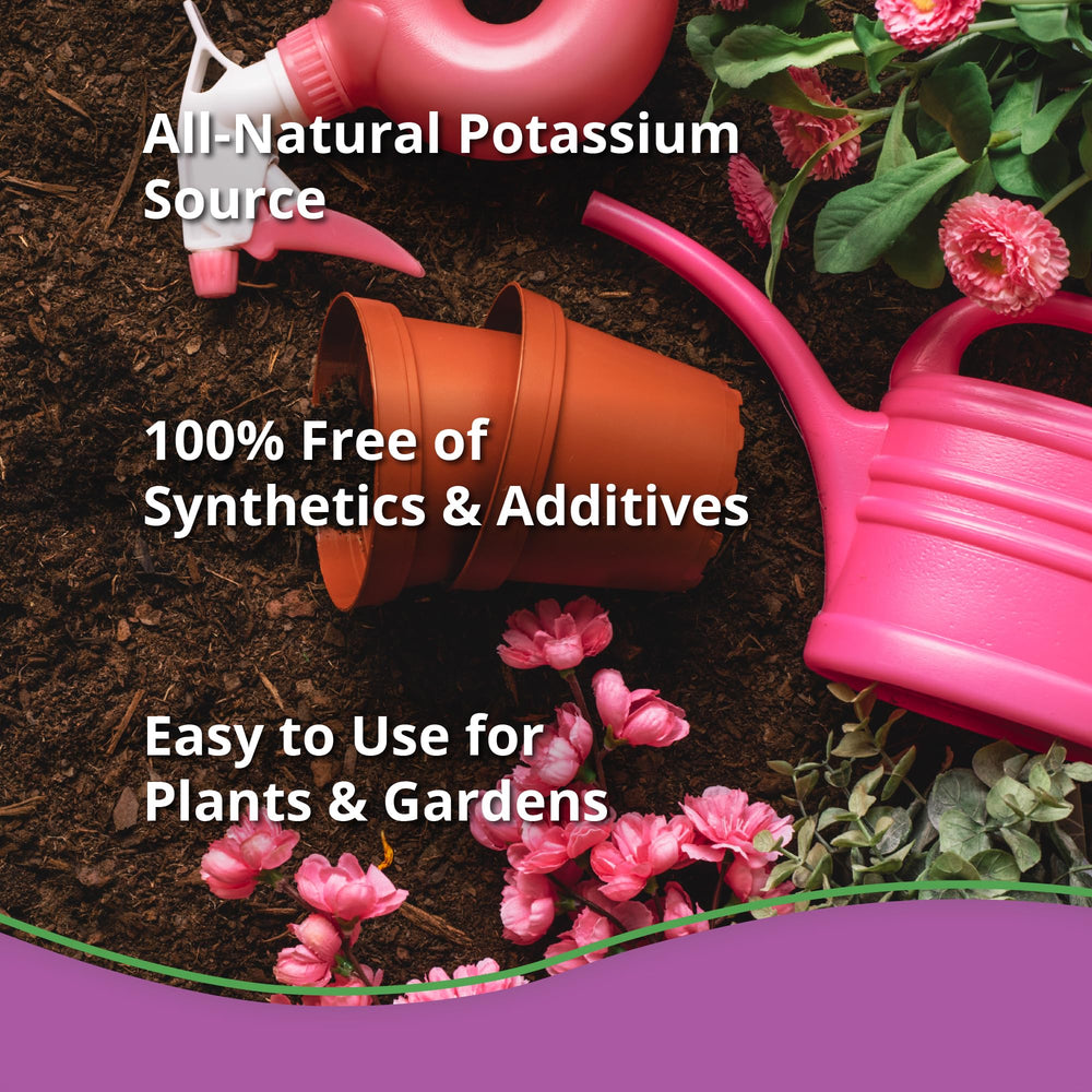 Plantonix Kelp Meal boosts flowering beds with trace minerals