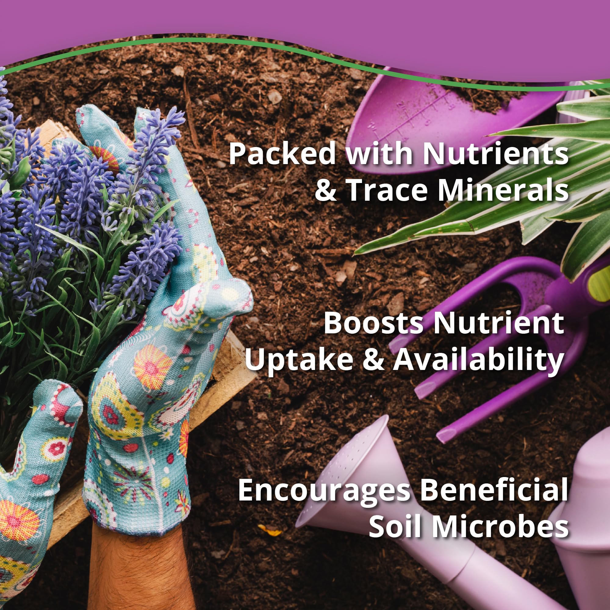 Plantonix Kelp Meal supports vegetable gardens with balanced nutrients