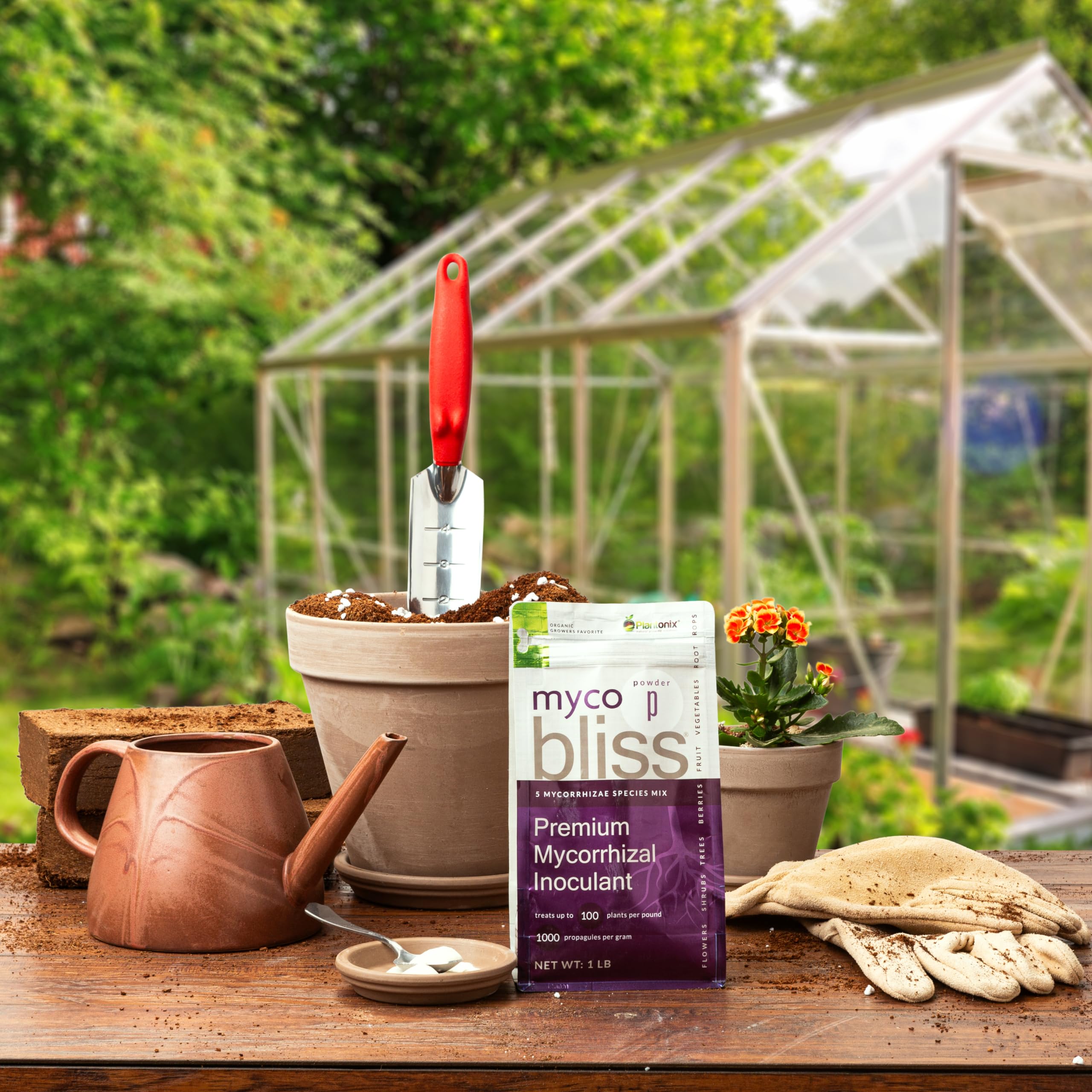 Container garden thrives with Plantonix Myco Bliss inoculant