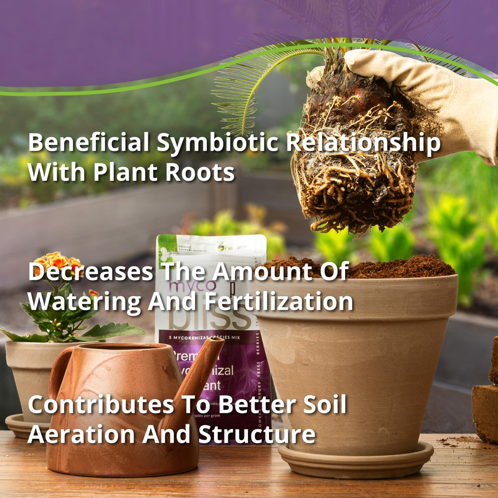 Soil mixed with Plantonix Myco Bliss enhances soil biology