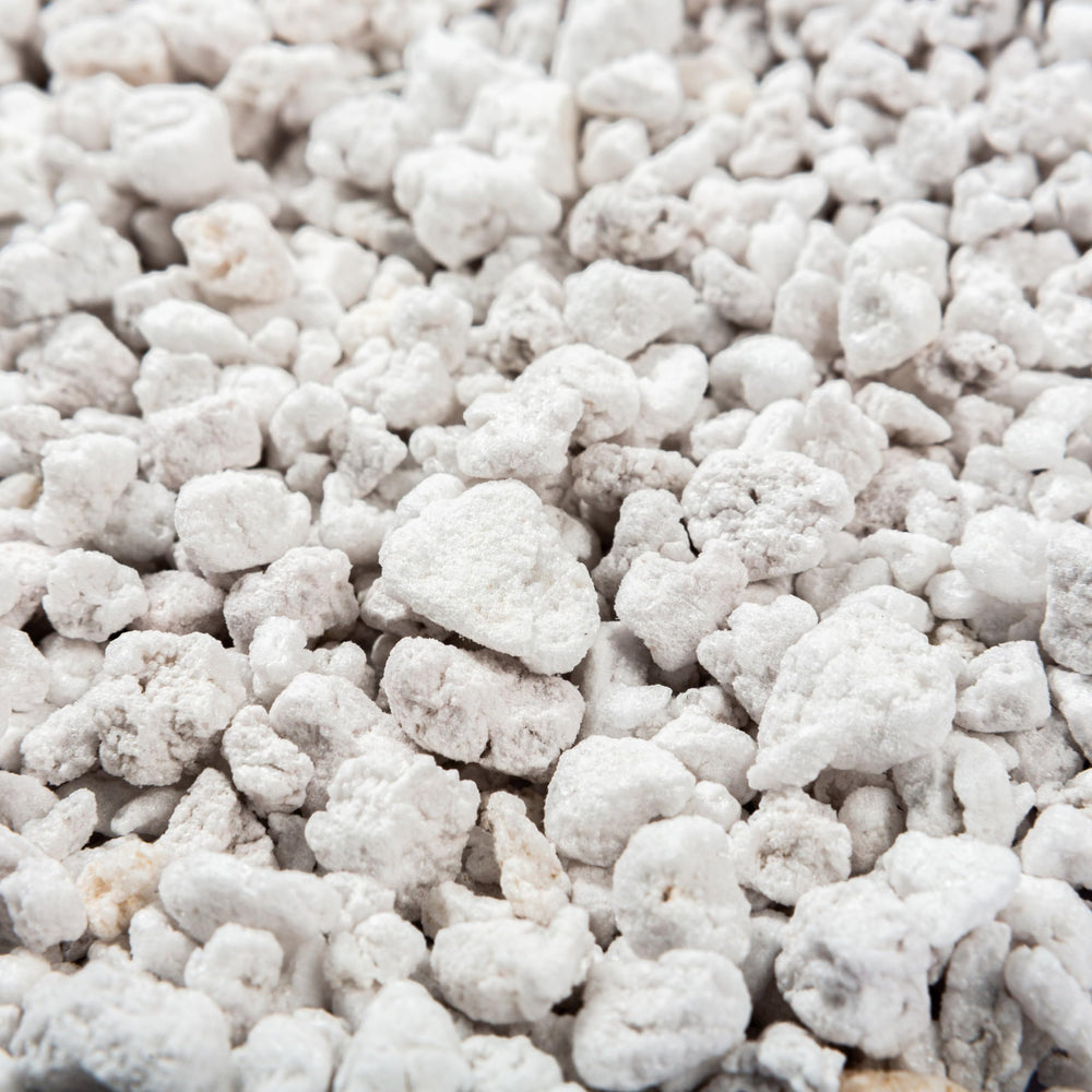Bulk Perlite Bliss ready for bulk gardening orders and planting projects.