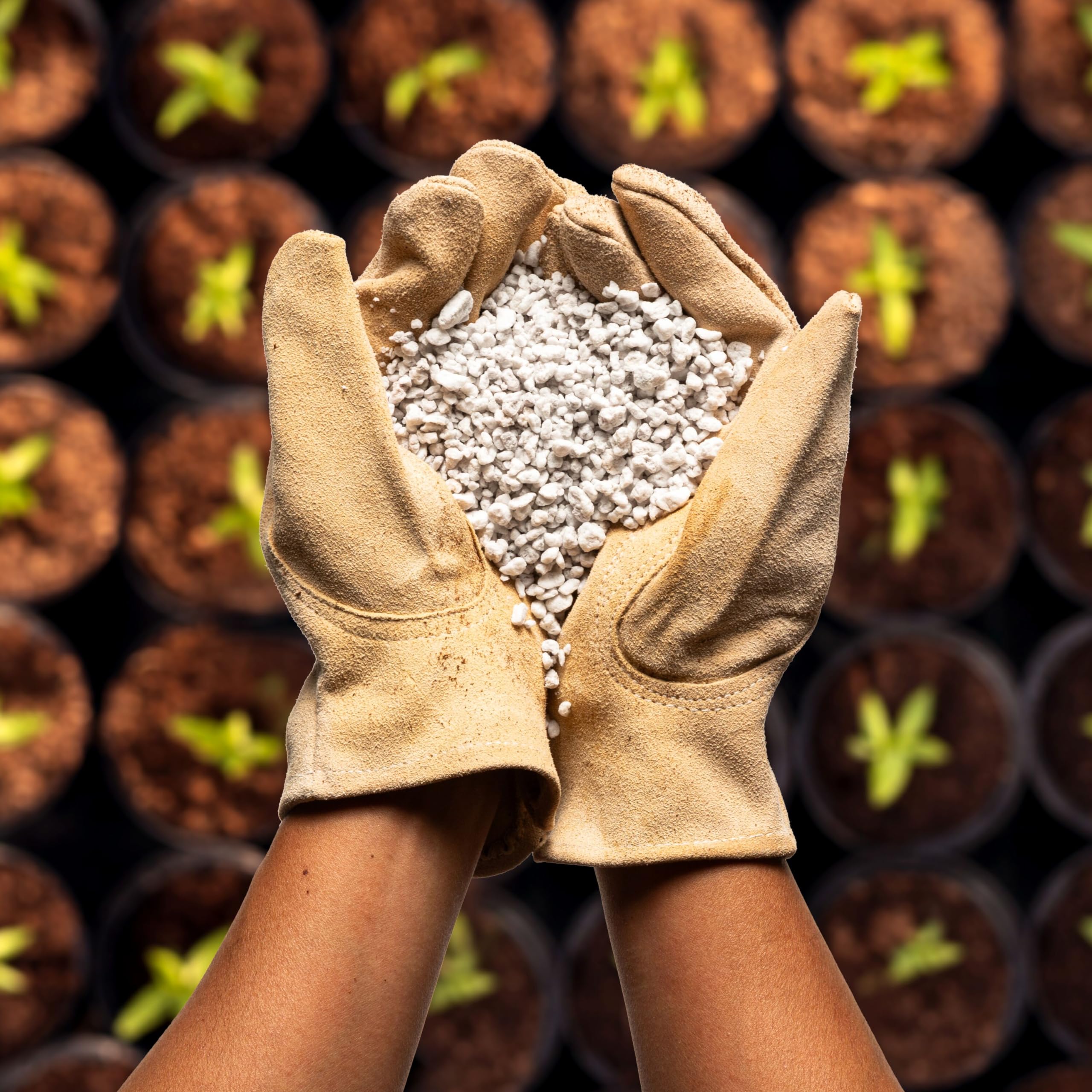 Water-retentive Plantonix Perlite Bliss helps steady moisture in houseplants.
