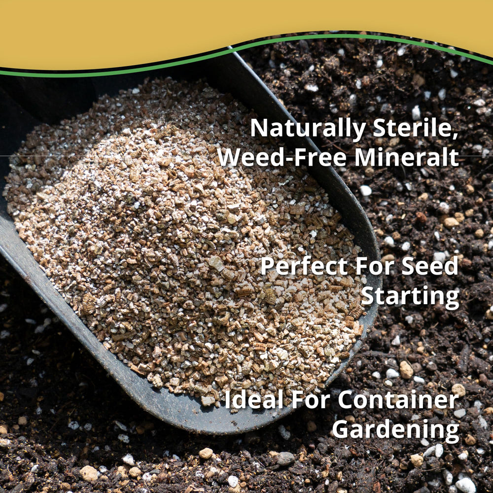 Moisture retention demonstration with Vermiculite Bliss in plant containers