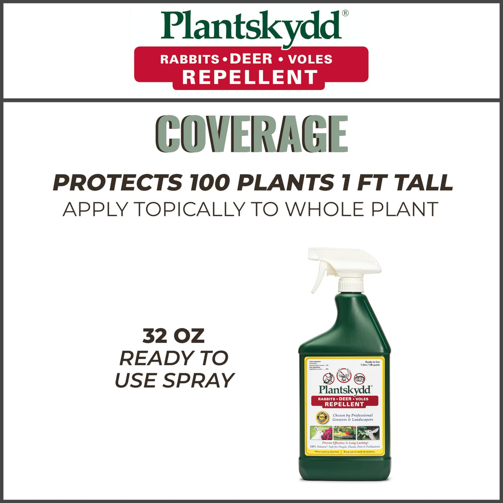 Shrubs with Plantskydd application showing seasonal protection for landscapes.
