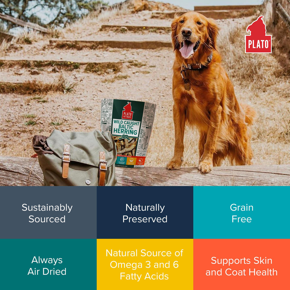 PLATO Dog snack portion for training and daily rewards