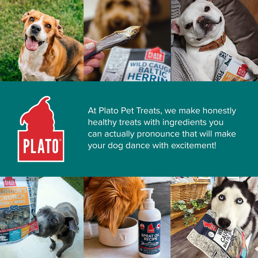PLATO Fish Treats stored in a cool dark place for freshness