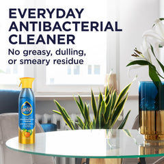 Sealed granite surfaces cleaned by Pledge antibacterial multisurface spray to maintain a smooth look.
