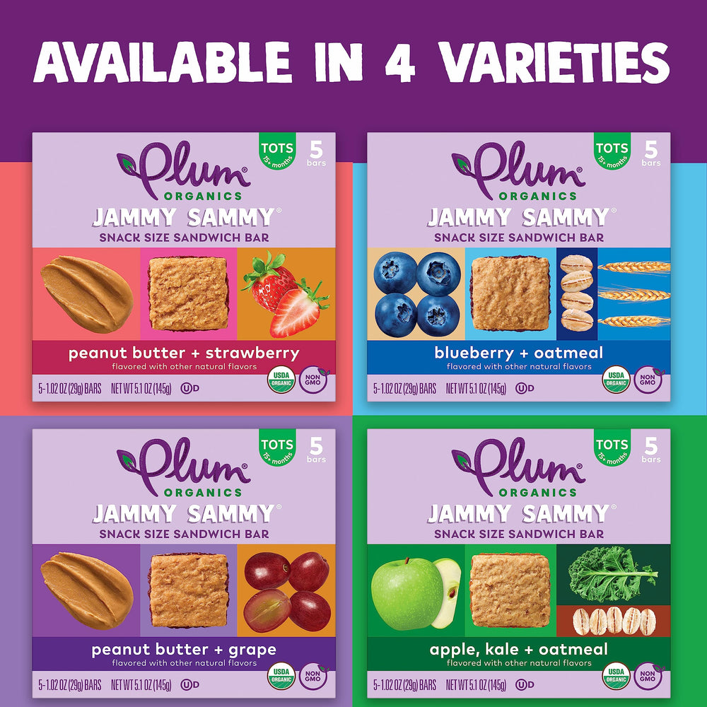 Lunchbox-ready Jammy Sammy bar for school or travel.