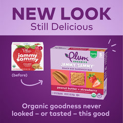 Organic ingredients label on Jammy Sammy packaging highlighting certifications.