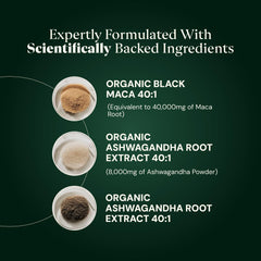 Plus+Ultra Organic Black Maca extract bottle emphasizing purity and potency