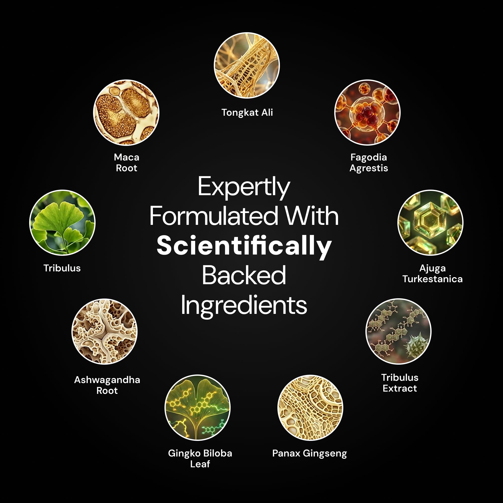 Plus+Ultra TestPlus ingredients visual emphasizing lean muscle support and recovery potential